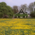 Logo Landgoed de Olmenhorst
